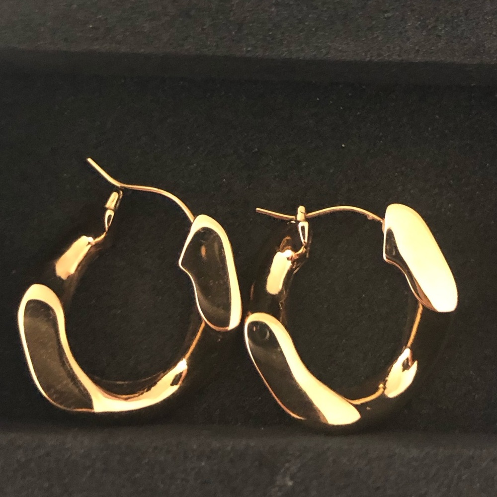 ❗️ CLOSING SALE ❗️100% RECYCLED METAL - VITALY GOLD EARRINGS - NO TARNISH